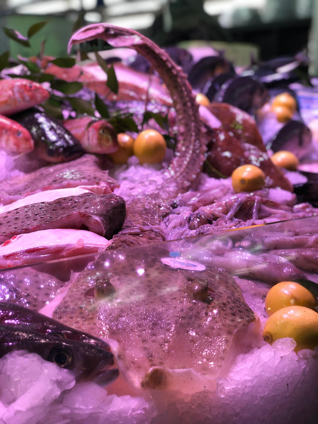 Où acheter du poisson frais à Boulogne-Billancourt ?